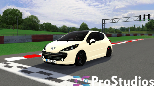 More information about "XR - Peugeot 207 RC"